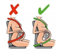 Gordelgeleider Voor Zwangeren