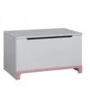 Mini Speelgoedkist Wit/roze