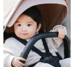 Thule Shine Kinderwagen - Roze -Babyproducten thule shine kinderwagen roze 2